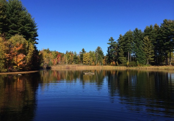 Serene lake