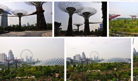 Singapore flickr album